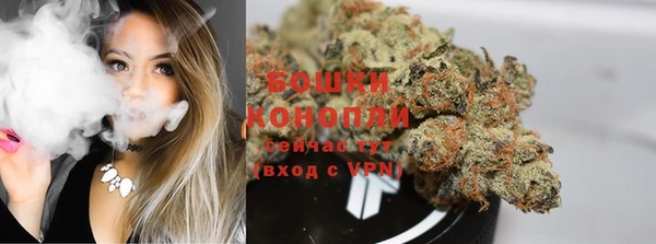 мдпв Горняк
