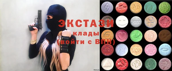 стафф Гусев
