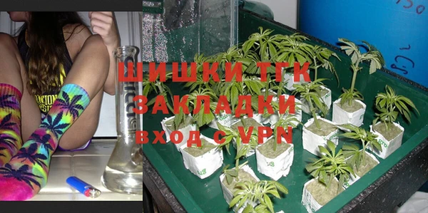 мдпв Горняк